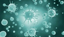 中全微生物檢測